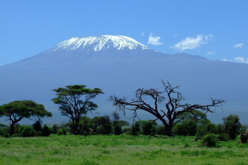 kilimanjaro___
